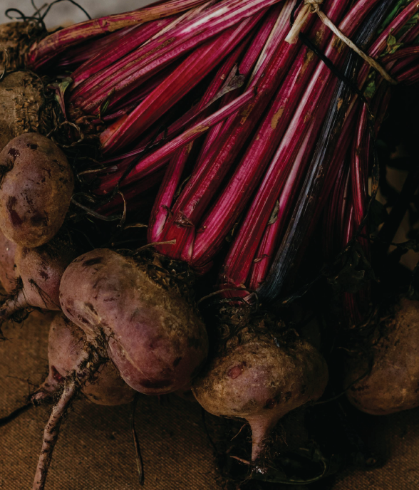 Beetroot & Prostate health